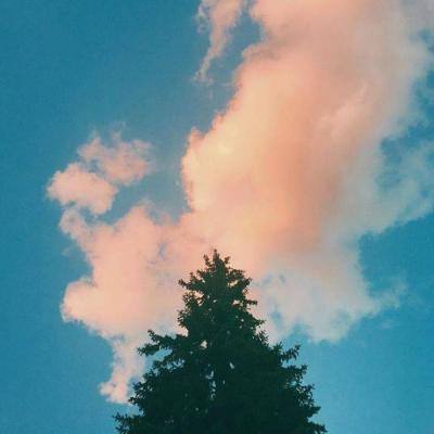 必博体育官方app下载